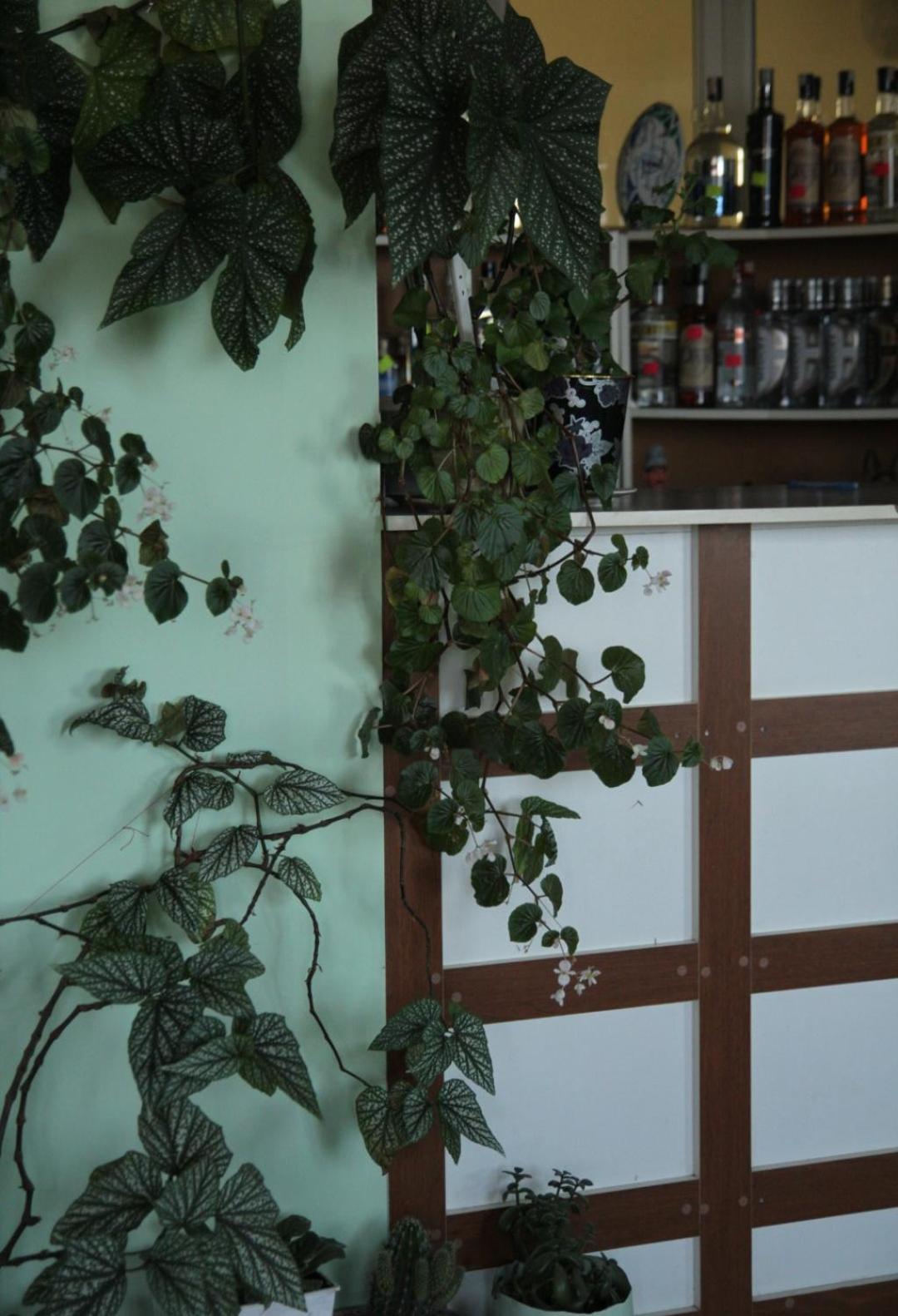 Tsalka酒店 外观 照片